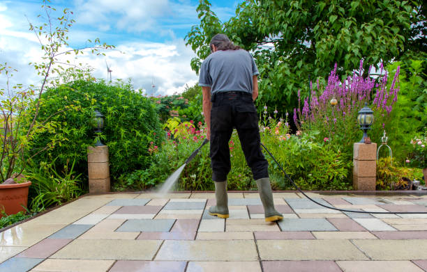 Best Parking Lot and Garage Cleaning  in Romney, WV